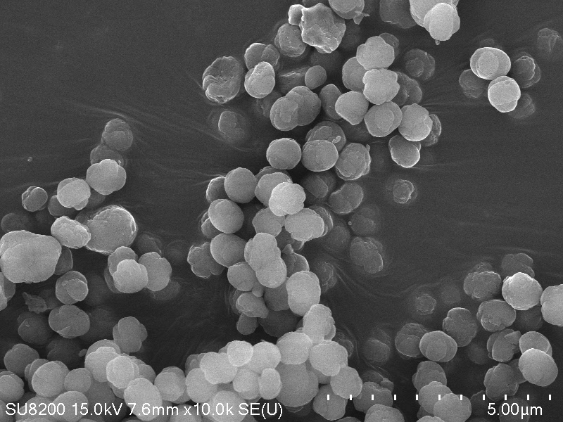 Role of ZSM-5 in hydrocarbon isomerization processes